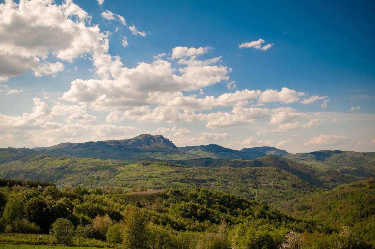 Vila Angelina Kušići Bagian luar foto