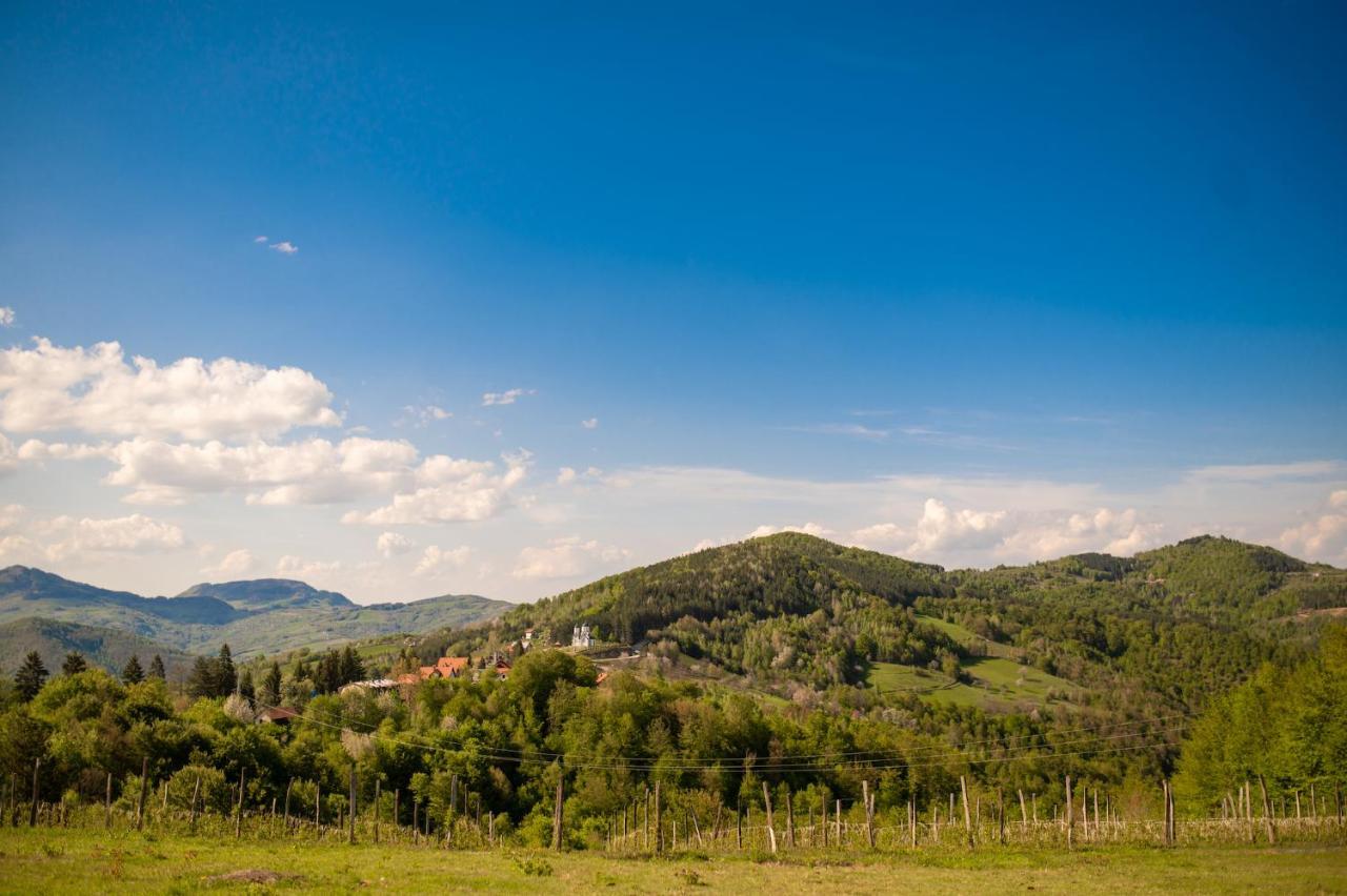 Vila Angelina Kušići Bagian luar foto